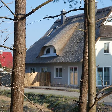 Kleine Seenixe Zingst Extérieur photo